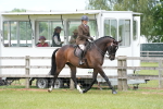SBM_16236