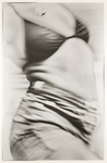 Torso