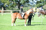 SBM_39524
