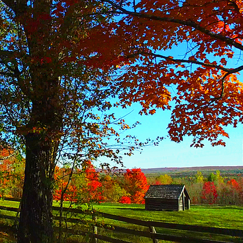 Autumn color in rural York County, New Brunswick, Canada.