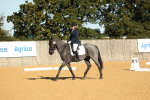 SBM_16475