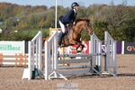 Chard 25th & 26th Oct BS Juniors/COH/Club/schools unaffiliated showjumping portfolio