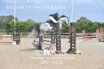 BPP_8300