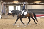 BPP_8562
