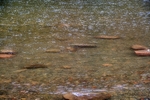 Lake District Stones under water Blur 6632