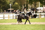 SBM_42277