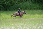 WJ7_8734