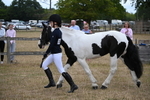 WJ6_8099