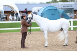 SBM_05104
