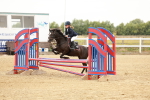 SBM_007800