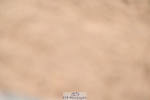 240608A-144245-02804