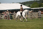 SBM_07662