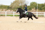 SBM_000908
