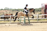 SBM_001726