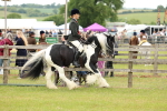 SBM_06265