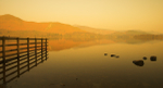 Peaceful Times