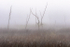 Sky Lake--September Fog
