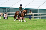 SBM_03798