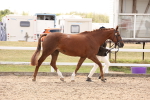 SBM_15349