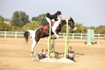 SBM_03852