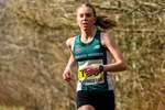 Livirelays25-915082