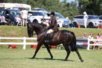 3E7A8120