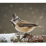 Fine Art Prints portfolio