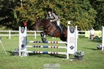 428-TOPSY-Sophie.Johnson-TrotUp+SJ portfolio