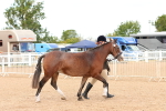SBM_11929