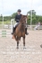 BPP_2772