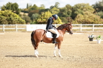 SBM_009931