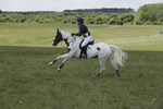 BVHT 140517  IXC -781