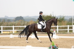 SBM_006348