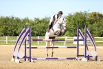 SBM_003018
