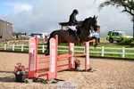 Cls 31 British Novice and 90cm Open portfolio
