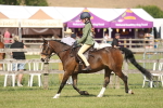 SBM_09225