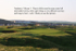 Turnberry 15th Tee to Green