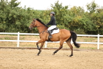 SBM_026121