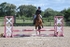 BPP_3352