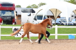 SBM_11002