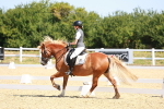SBM_009805