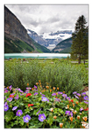 Lake Louise