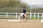 SBM_006293
