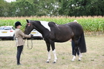 WJ6_5628