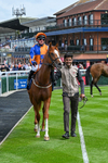 270526-Race 1-Lairy Mary-1915