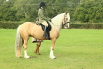 SBM_62636