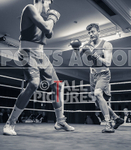 BOUT-4_Ciaran Croke v Nathan McInnes portfolio