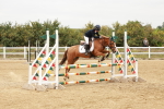 SBM_008276
