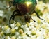 20110614-IMG_5788