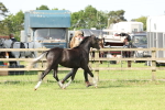 SBM_00782